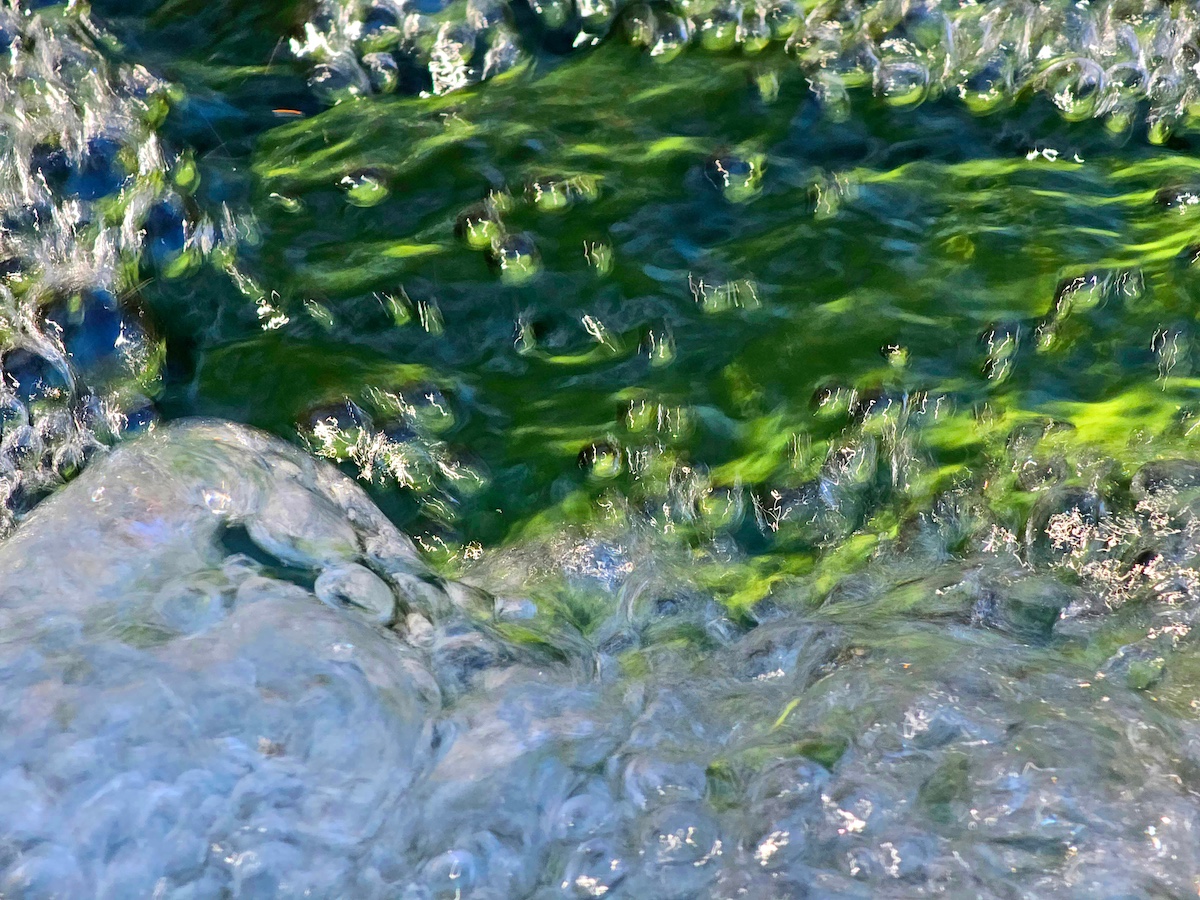 Up close view of Water bubbles.