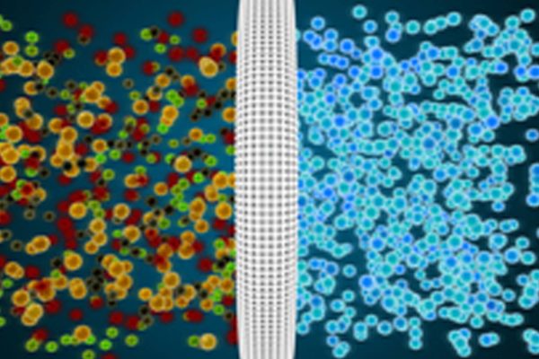 Rendering of molecules passing through membrane to filter same type of molecules.