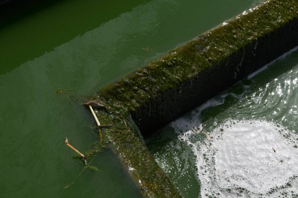 Wastewater draining into structure.